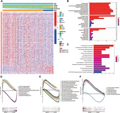 Comprehensive Analysis of Programmed Cell Death Signature in the Prognosis, Tumor Microenvironment and Drug Sensitivity in Lung Adenocarcinoma